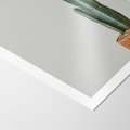 Plakat bez ramy 30x40 - Zieleń i Subtelność - kaktusy, liście