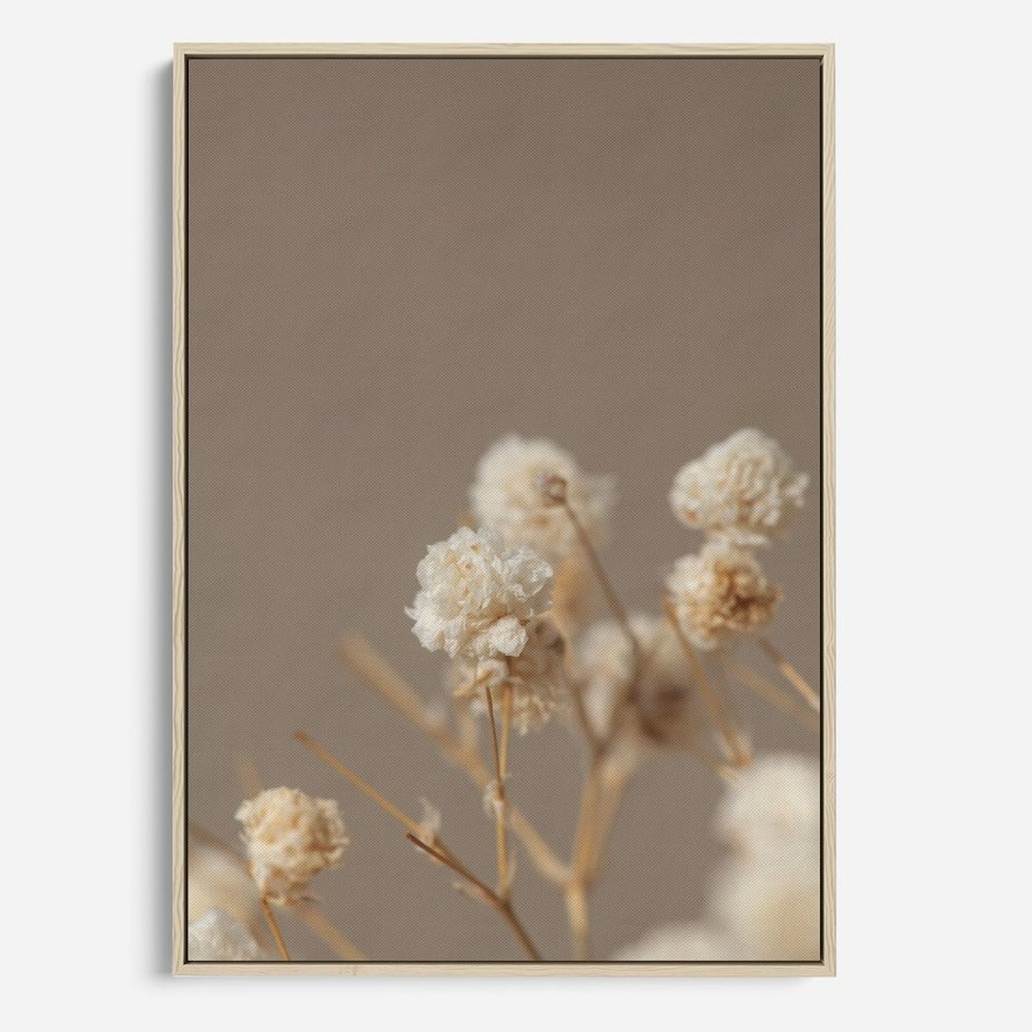 Obraz w ramie 80x120 - Przezroczyste piękno - gipsówka, suche - rama drewno