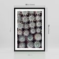 Plakat w ramie 50x70 - Wzór Kaktusów - kaktusy w doniczkach, ujęcie z góry - rama czarna