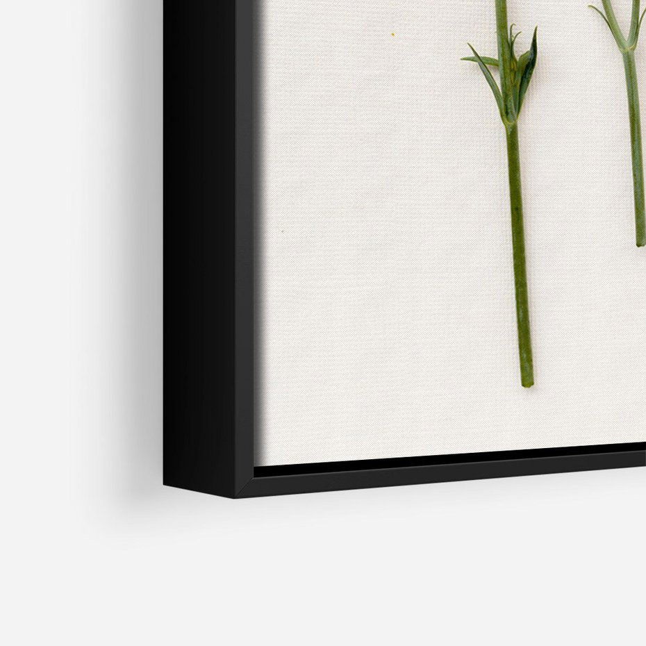 Obraz w ramie 70x100 - Białe kwiatowe uniesienia - białe, kwiaty - rama czarna