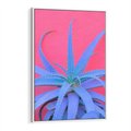 Obraz w ramie 70x100 - Piękno Pustyni - kaktusy, liście - rama biała