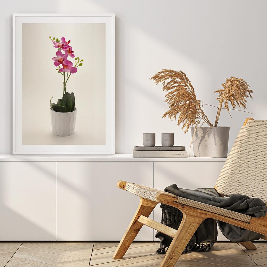 Plakat w ramie 50x70 - Delikatność storczyka orchidei - storczyk, orchidea - rama biała