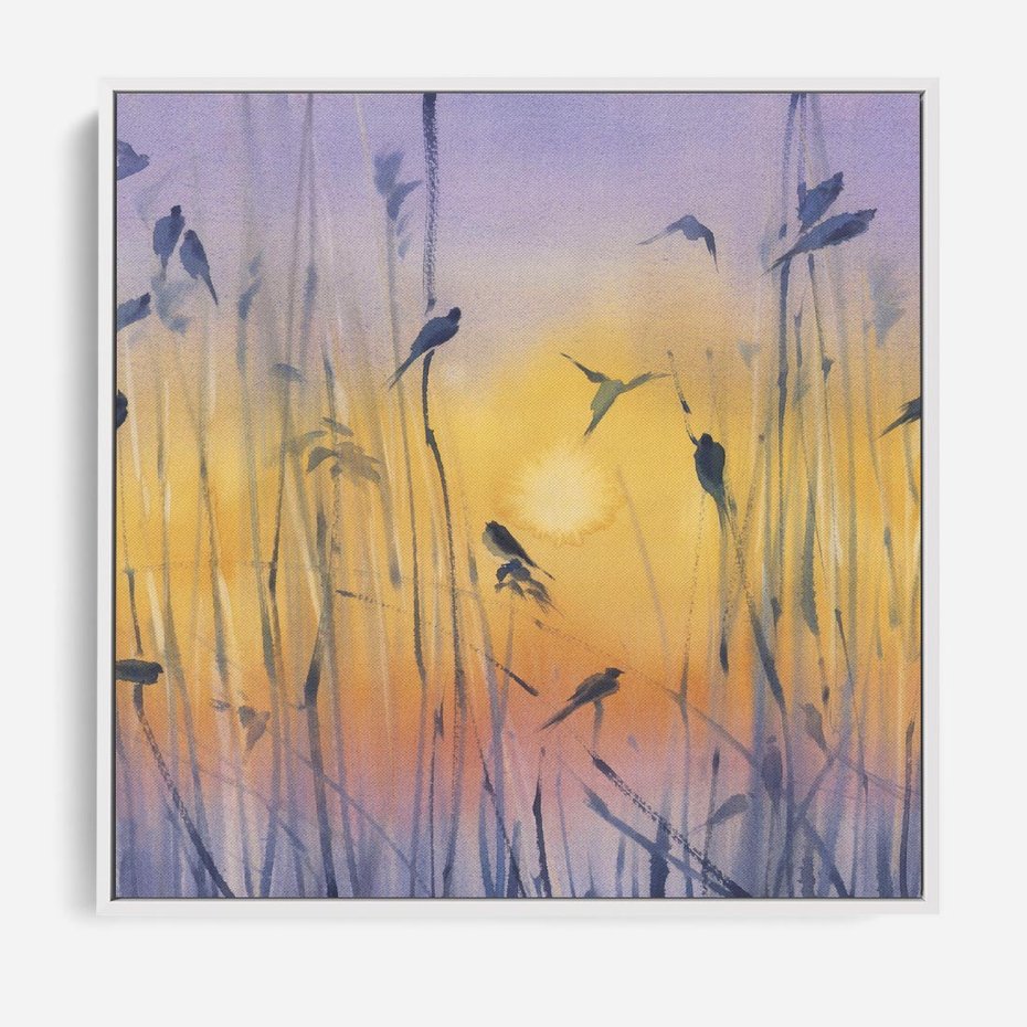 Obraz w ramie 50x50 - Mistyka Poranka nad Szuwaram - wschód słońca w szuwarach, trawy - rama biała