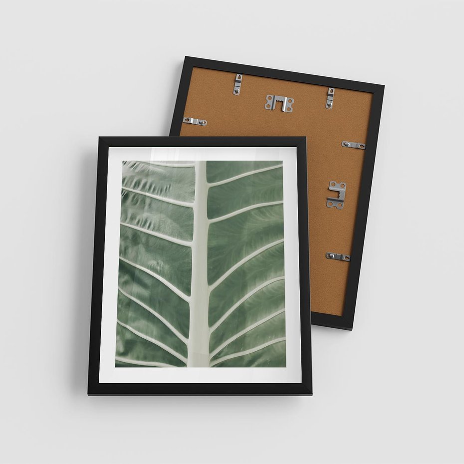 Plakat w ramie 40x50 - Zielone Wielkości: Zbliżenie Liścia - zbliżenie duz liść, jasna zieleń - rama czarna