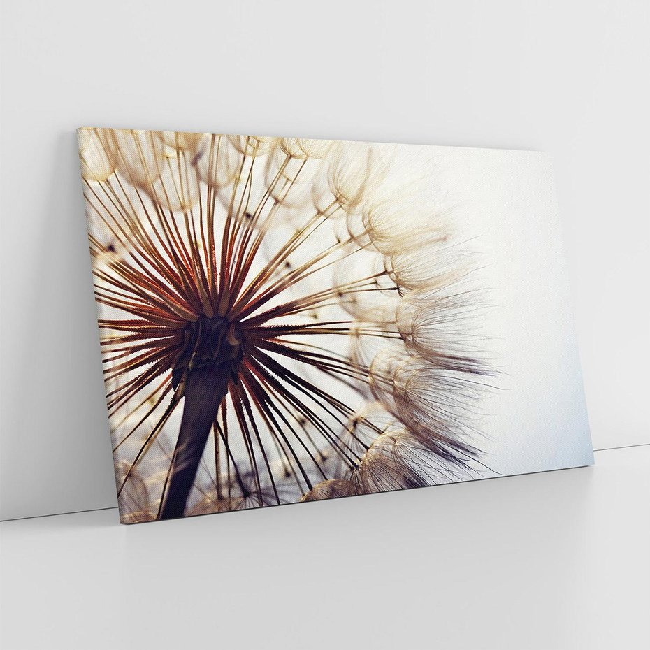 Obraz na płótnie 120x80 - Makro piękno dmuchawca - makro, dmuchawiec