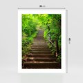 Plakat bez ramy 30x40 - Lasowa ścieżka pełna tajemnic - ścieżka, schody