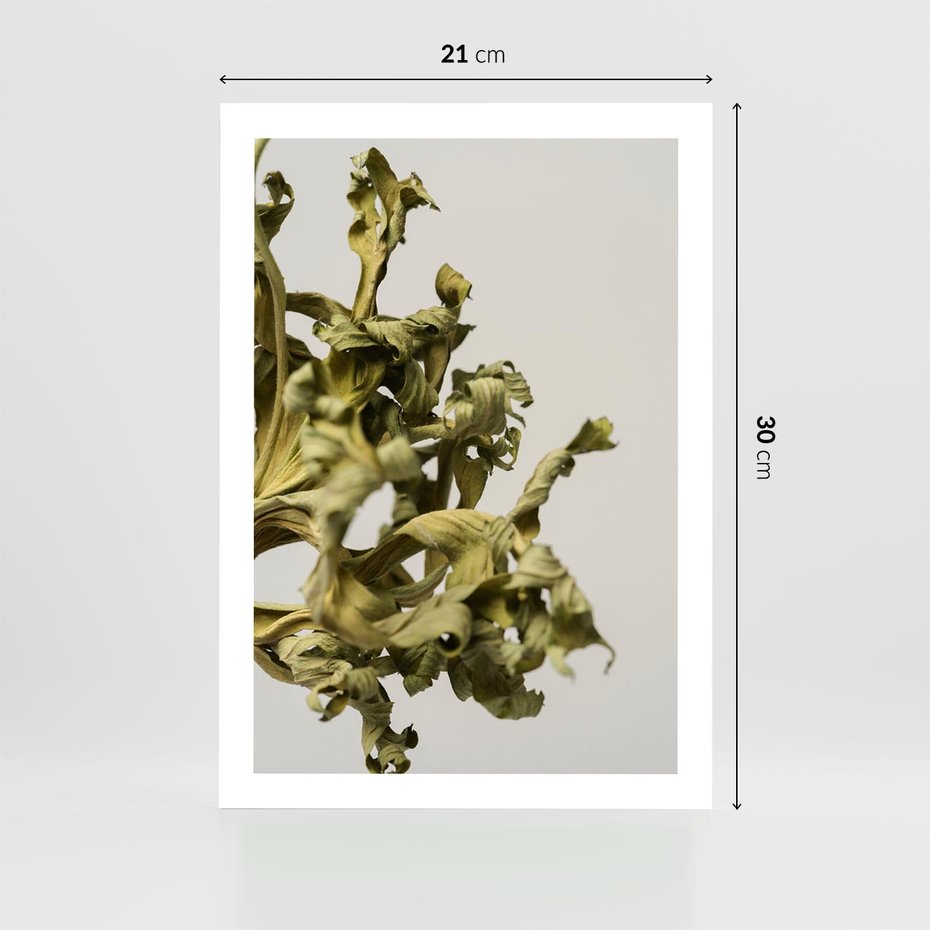 Plakat bez ramy 21x30 - Odejście pory deszczowej - suche, trawy