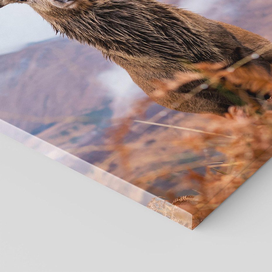 Obraz na płótnie 50x70 - Jeleń w Uśpionym Krajobrazie - jeleń na tle gór, ośnieżone góry