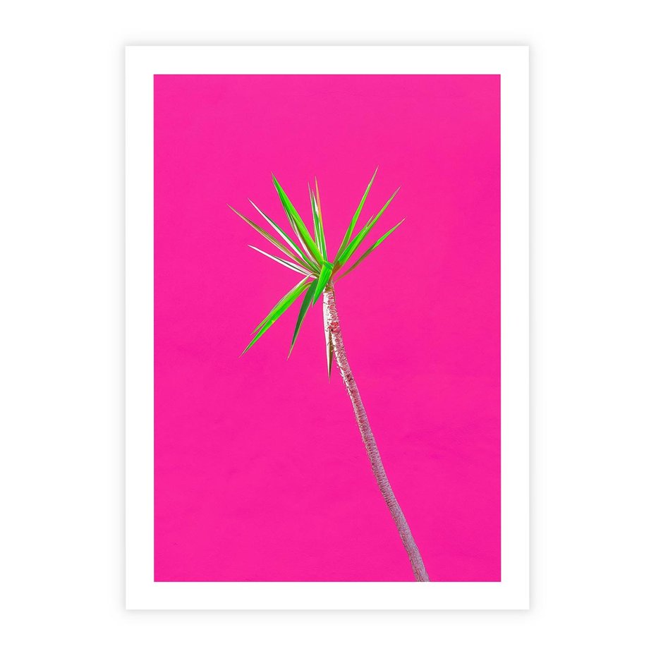 Plakat bez ramy 40x50 - Retro Stylizacja - palma, liście