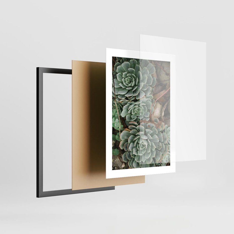 Plakat w ramie 30x40 - Zielona Uroda Sukulentów - sukulenty, zielone liście - rama czarna