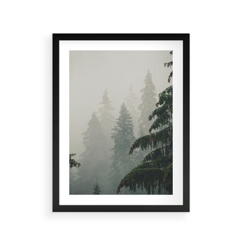 Plakat w ramie 40x50 - Mglista przemiana lasu - las, mgła - rama czarna