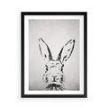 Plakat w ramie 50x70 - Szkicowany królik w grafice - szkic, królik - rama czarna