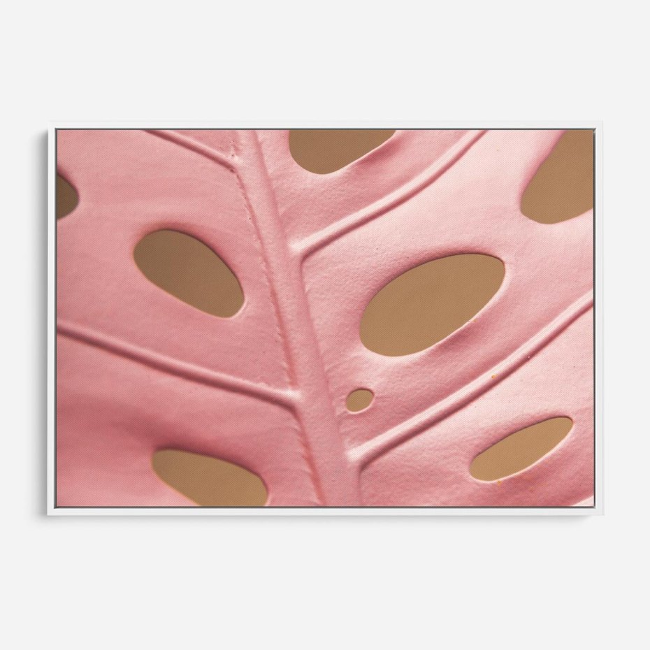 Obraz w ramie 70x50 - Różowa monstera w pełnym rozkwicie - różowa, monstera - rama biała