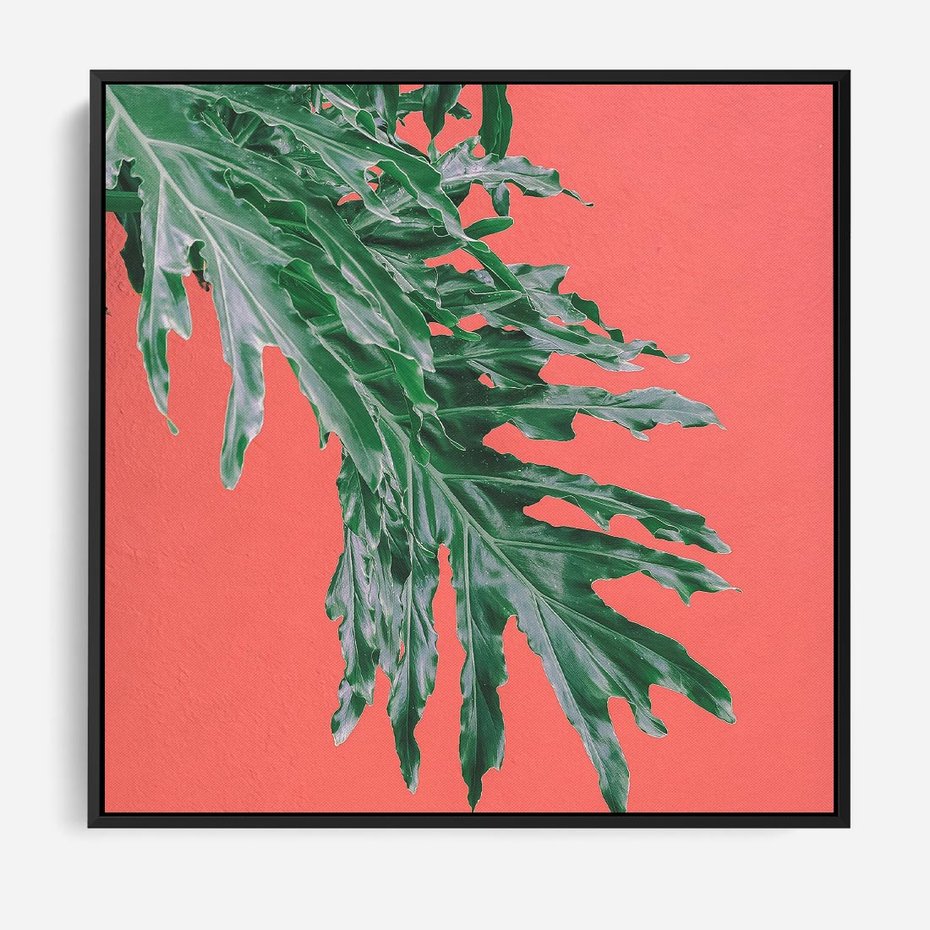 Obraz w ramie 50x50 - Energetyczna Eksplozja Natury - liście, kolor - rama czarna