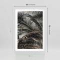 Plakat w ramie 50x70 - Liściaste Palmy - palmy, drzewa palmowe - rama biała