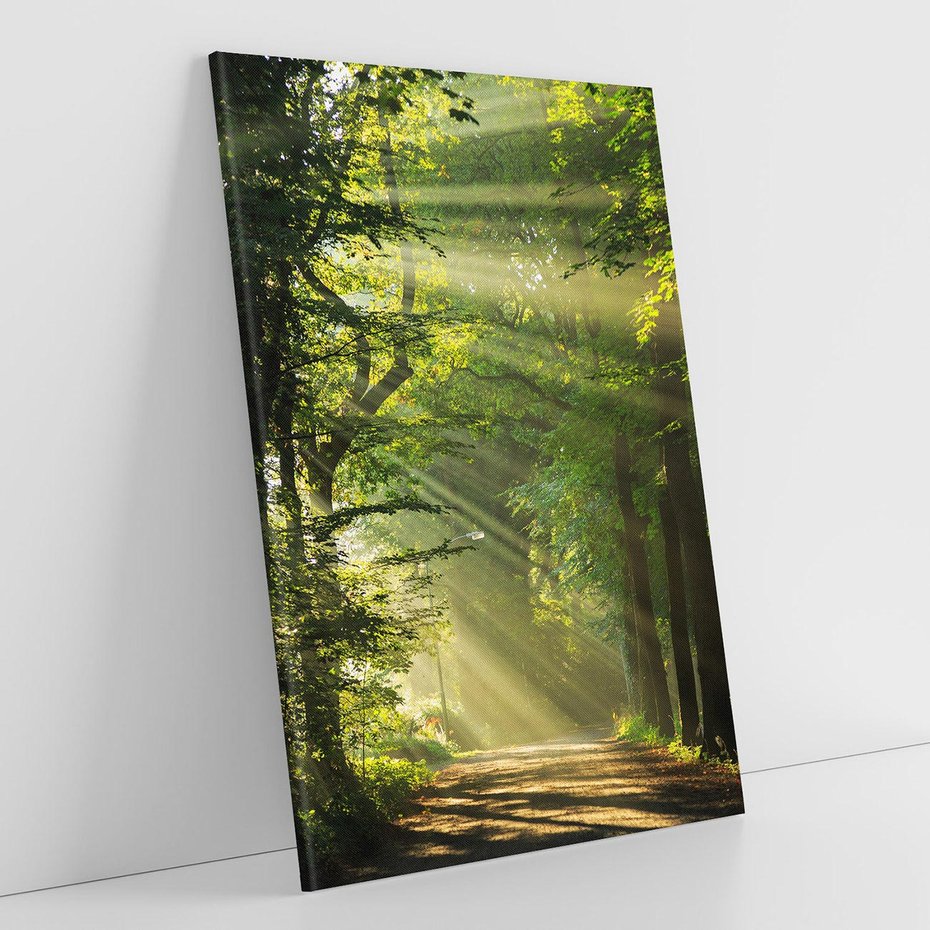Obraz na płótnie 50x70 - harmonia natury - las, drzewa