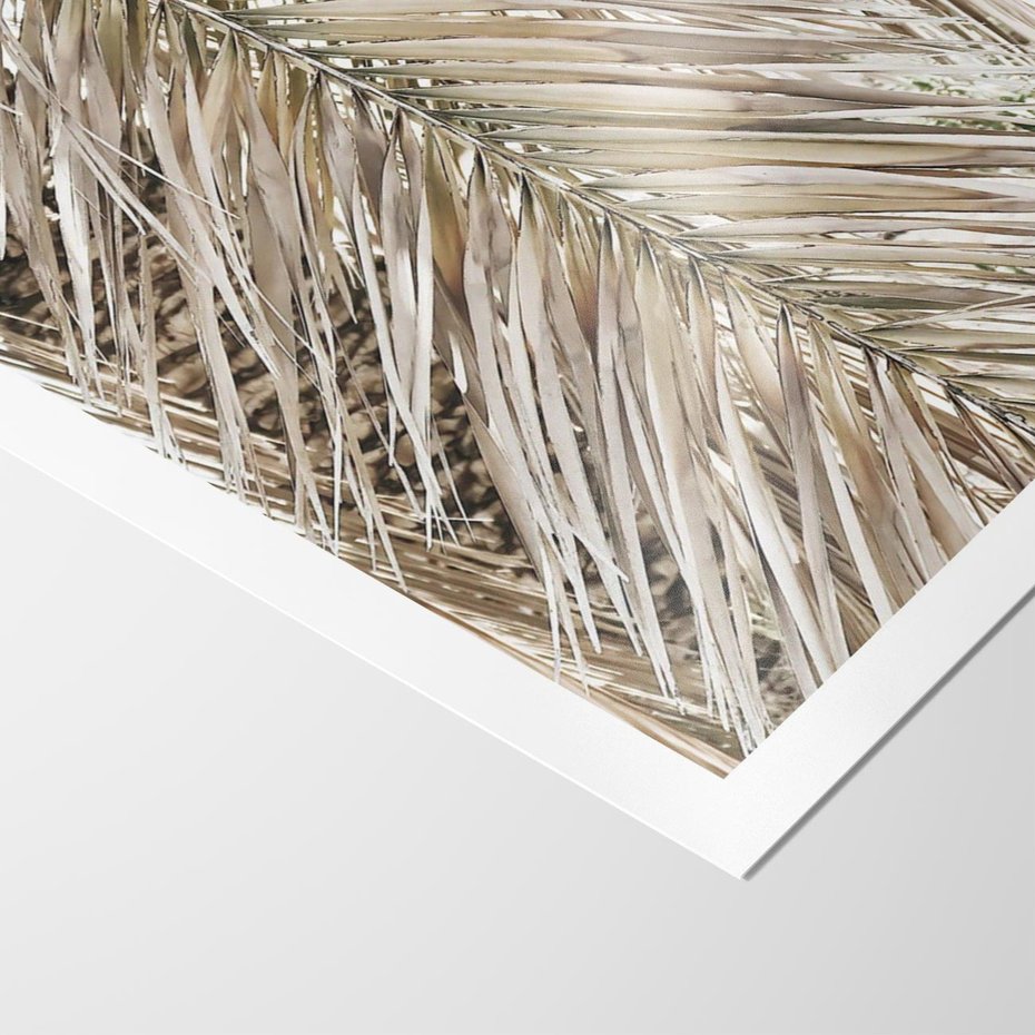 Plakat bez ramy 21x30 - Boho Urok Palmy: Zbliżenie Natury - sucha palma, zbliżenie