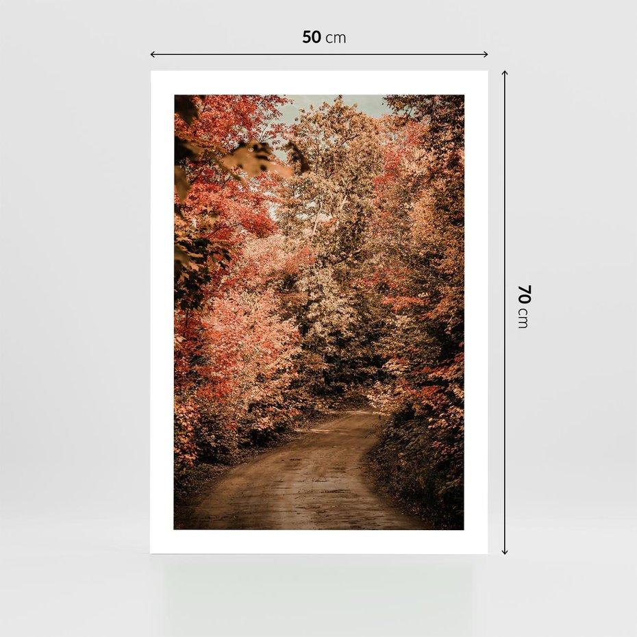 Plakat bez ramy 50x70 - Obraz przedstawia jesienne drzewa i czerwone liście na ścieżce w lesie. Ta sceneria doskonale oddaje urok i kolorystykę jesieni w lesie. - las, jesień