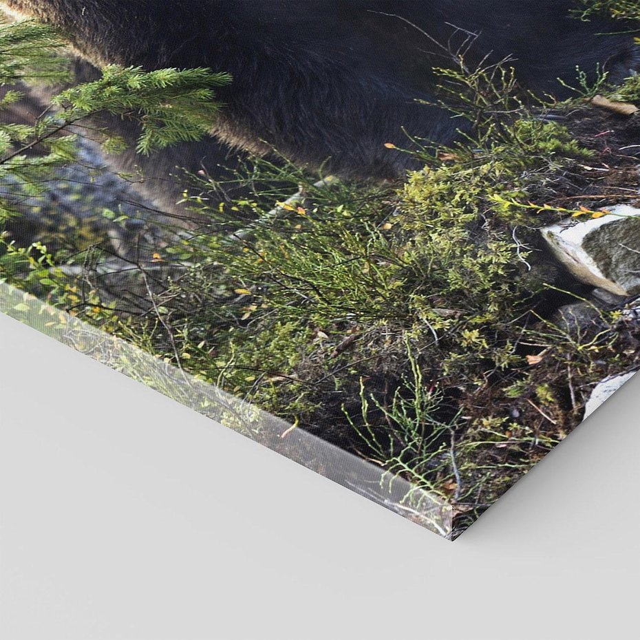 Obraz na płótnie 50x70 - Spotkanie z Niedźwiedziem w Lesie - niedźwiedź, las