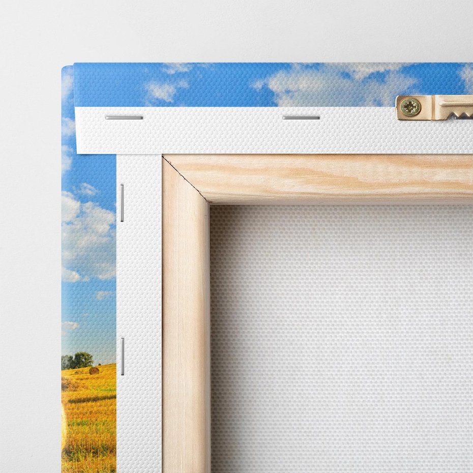 Obraz na płótnie 100x70 - Urok rolnictwa: Trawa w pełnym rozkwicie - rolnictwo, trawa