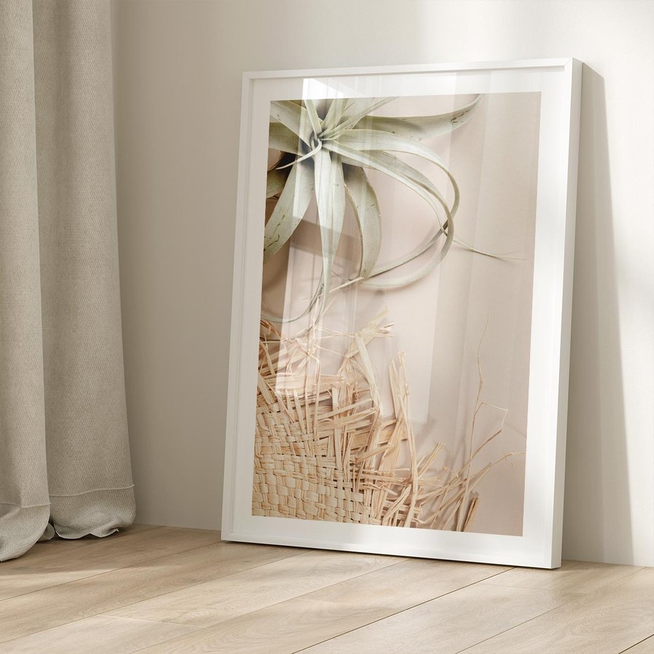Plakat bez ramy 21x30 - Aloes w Stylu Boho - kompozycja, wiklina