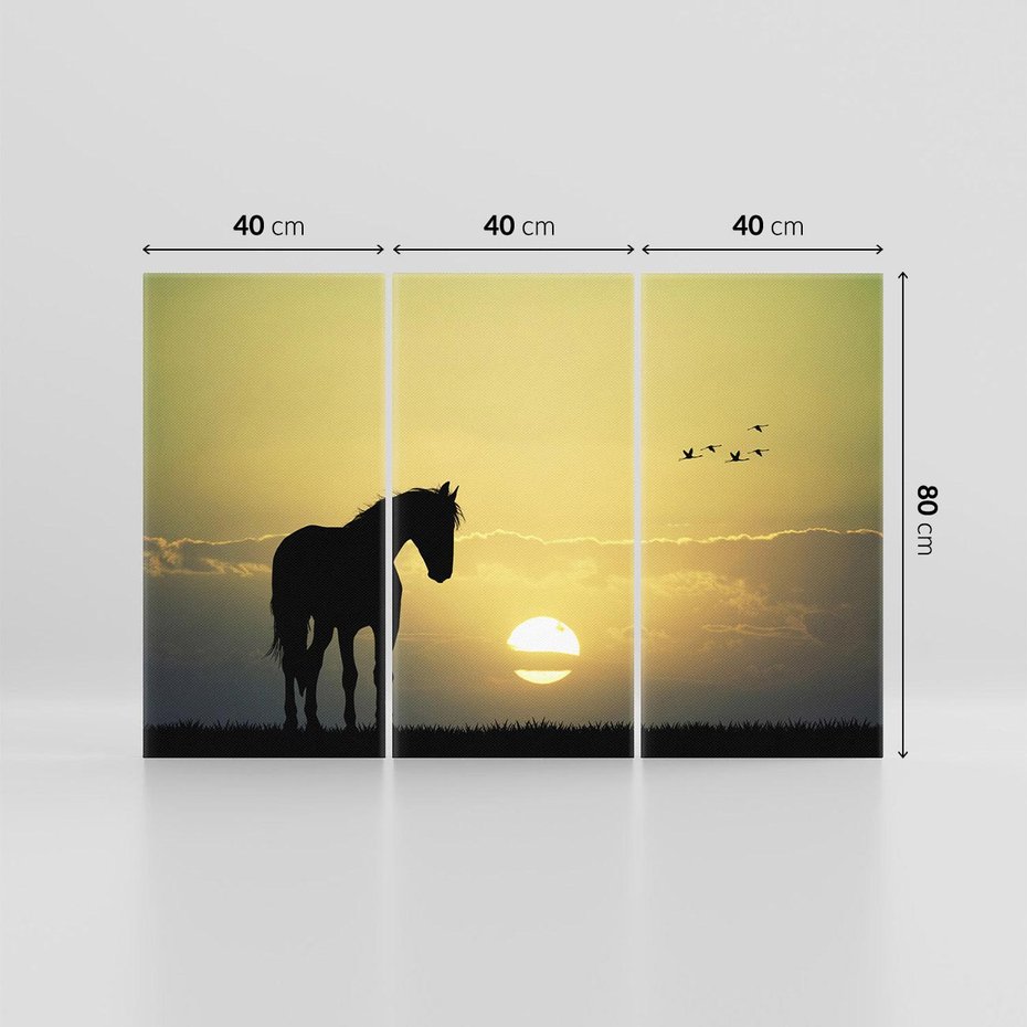 Obraz na płótnie 120x80 - Koń w Zachodnim Świetle - koń, ptaki