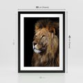 Plakat w ramie 30x40 - Władca Dzikiej Przyrody - lew, król - rama czarna
