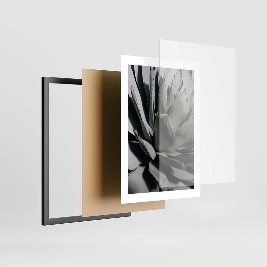 Plakat w ramie 30x40 - Egzotyczny Raj - sukulenty, kaktusy - rama czarna