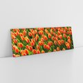Obraz na płótnie 150x50 - Tulipanowa eksplozja - tulipany, kwiaty