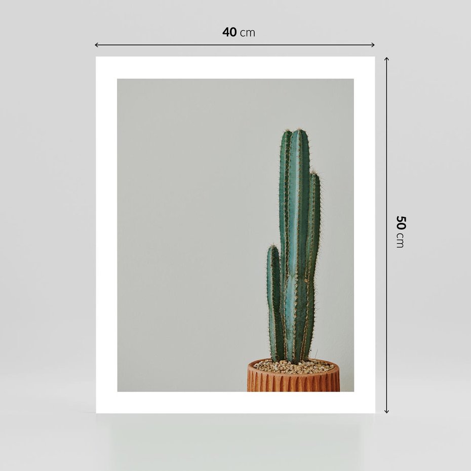 Plakat bez ramy 40x50 - Zieleń i Subtelność - kaktusy, liście