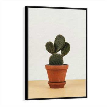 Obraz w ramie 50x70 - Kwiatowy taniec kaktusa - kaktus, kwiat - rama czarna
