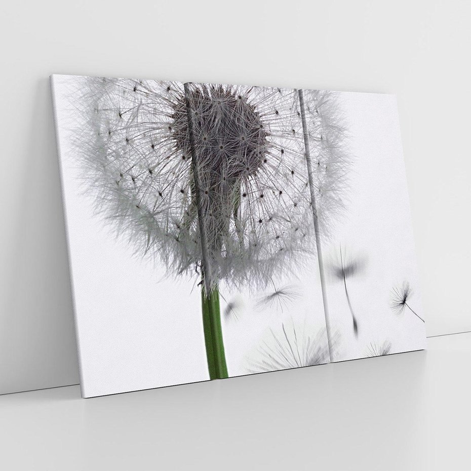 Obraz na płótnie 120x80 - Lekkość Przemijania - dmuchawiec, makro