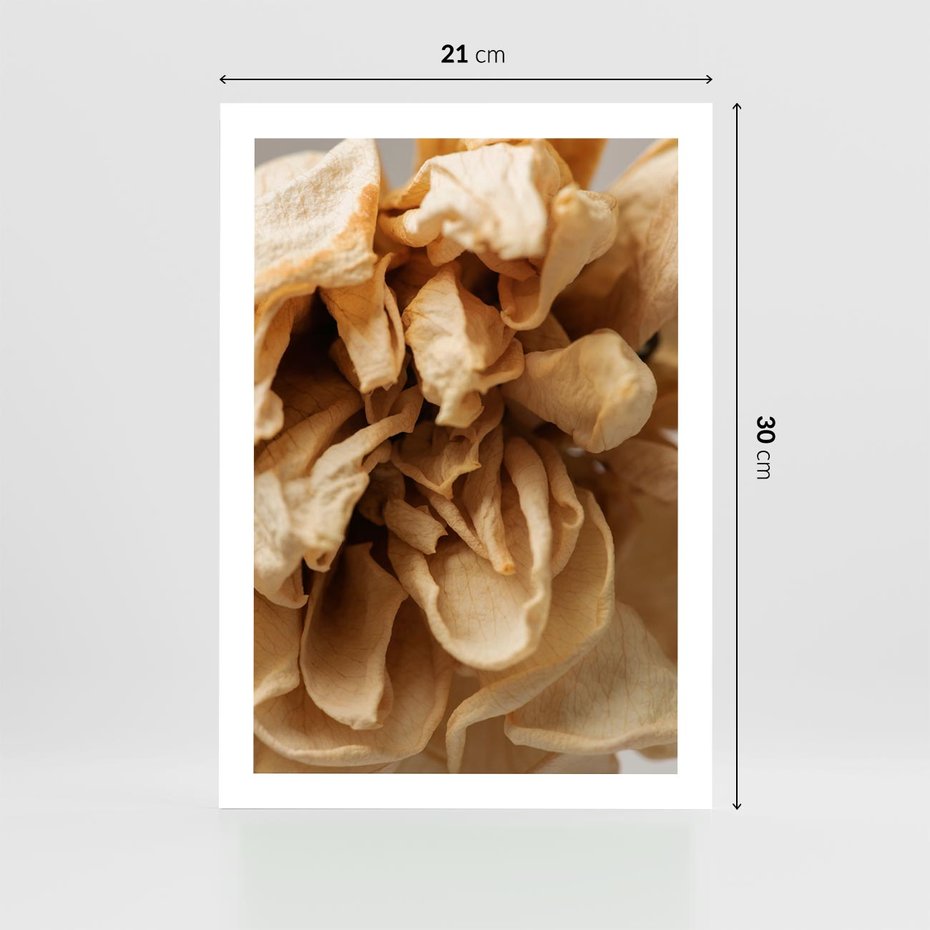 Plakat bez ramy 21x30 - Zjawiskowe zasuszone kwiaty - zasuszone, kwiaty