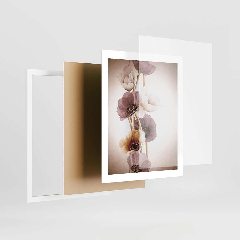 Plakat w ramie 40x50 - Eksplozja kolorów - akwarela, maki - rama biała