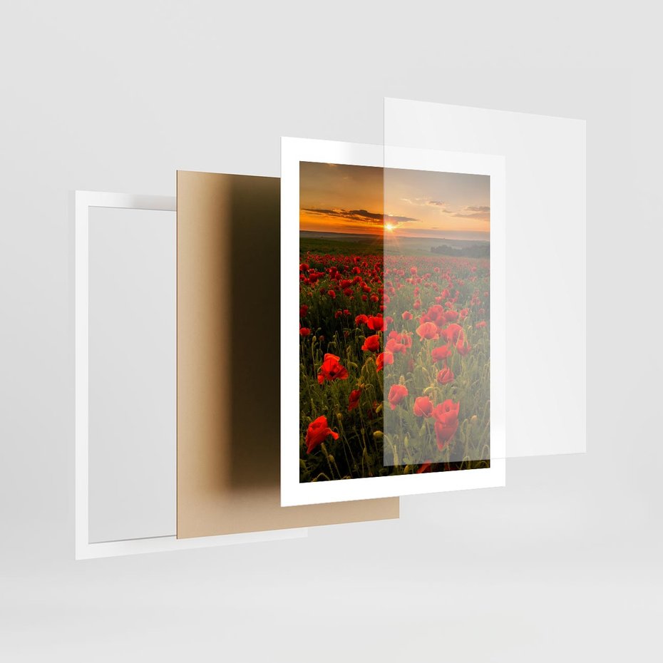 Plakat w ramie 40x50 - Maki przy zachodzie słońca - maki, zachód - rama biała