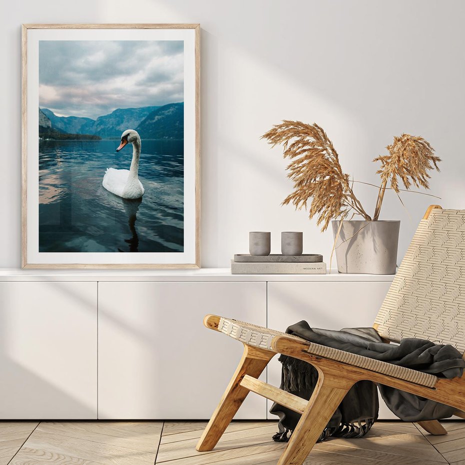 Plakat w ramie 50x70 - Łabędzi Śpiew - fotografia, plakat - rama drewno