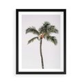 Plakat w ramie 50x70 - Wakacyjne Marzenia - palma na tle nieba - rama czarna