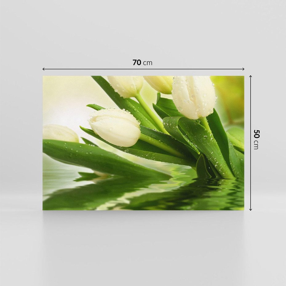 Obraz na płótnie 70x50 - Białe Piękno - białe, tulipany