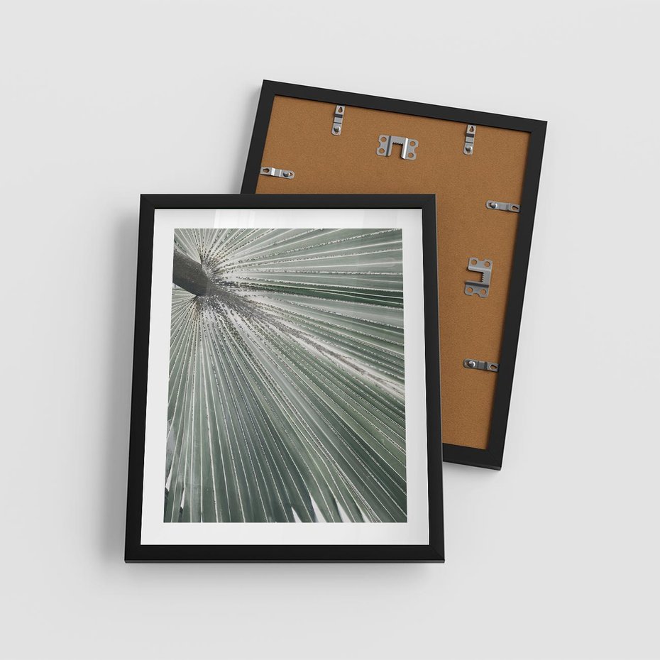 Plakat w ramie 40x50 - Jasnozielony Świat - palma, liść - rama czarna