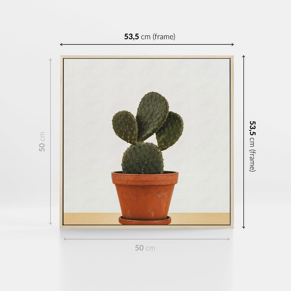 Obraz w ramie 50x50 - Kwiatowy taniec kaktusa - kaktus, kwiat - rama drewno