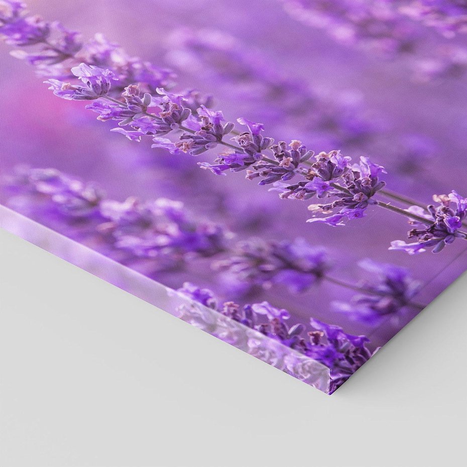 Obraz na płótnie 60x60 - Fioletowa harmonia lawendy - lawenda, fiolet