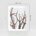 Plakat w ramie 40x50 - Pustynna Harmonia Gałęzi - pustynna roślina, suche gałęzie - rama biała