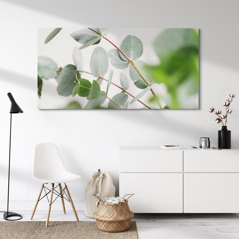 Obraz na płótnie 120x60 - Liście eukaliptusa w naturze - eukaliptus, liście