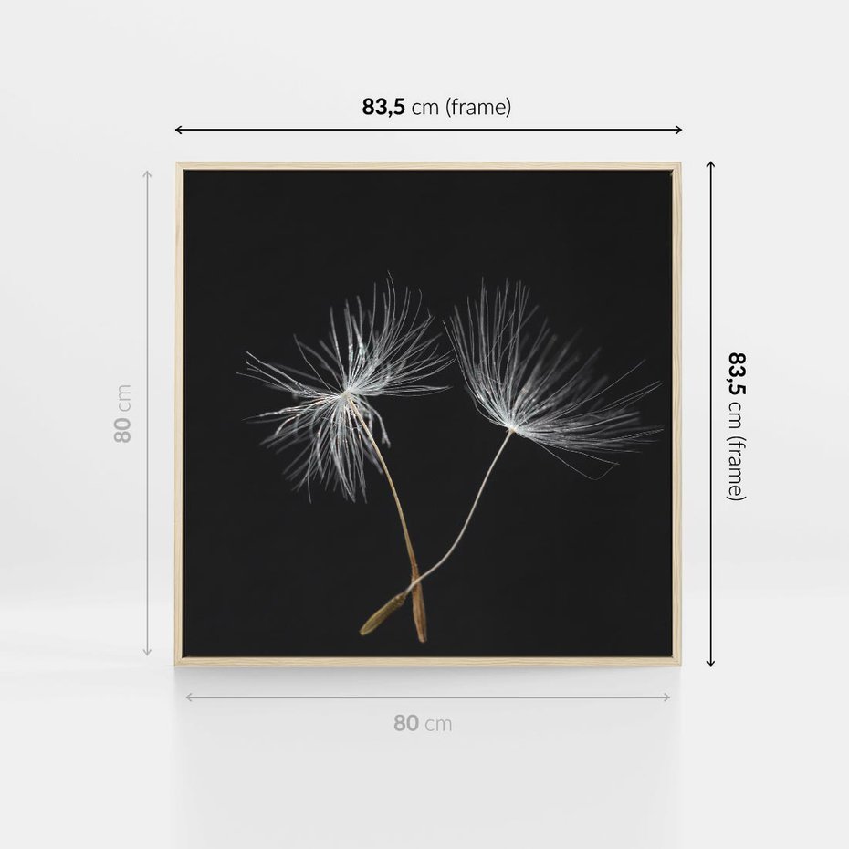 Obraz w ramie 80x80 - Delikatność Wiatru - dmuchawce, makro - rama drewno