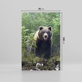 Obraz na płótnie 70x100 - Spotkanie z Niedźwiedziem w Lesie - niedźwiedź, las