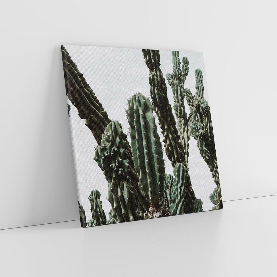 Obraz na płótnie 80x80 - Boho oaza wśród kaktusów - kaktusy, pustynia