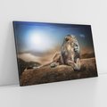 Obraz na płótnie 70x50 - Król sawanny - lew, kamień