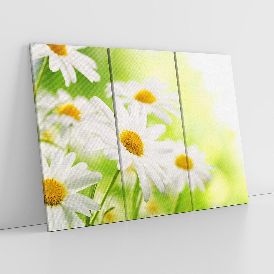 Obraz na płótnie 120x80 - Stokrotka: delikatność natury - stokrotka, kwiat