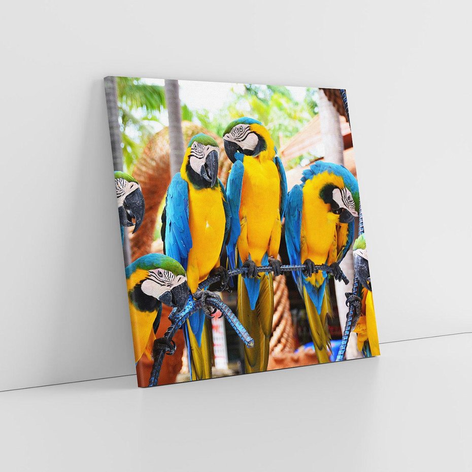 Obraz na płótnie 50x50 - Kolorowa parada papug - papuga, papugi