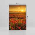 Obraz na płótnie 50x70 - Makowe uczucia - maki, kwiaty